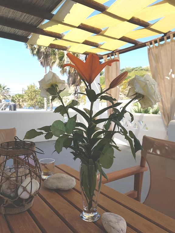 Theo'S Vacation Home Skyros Exterior photo