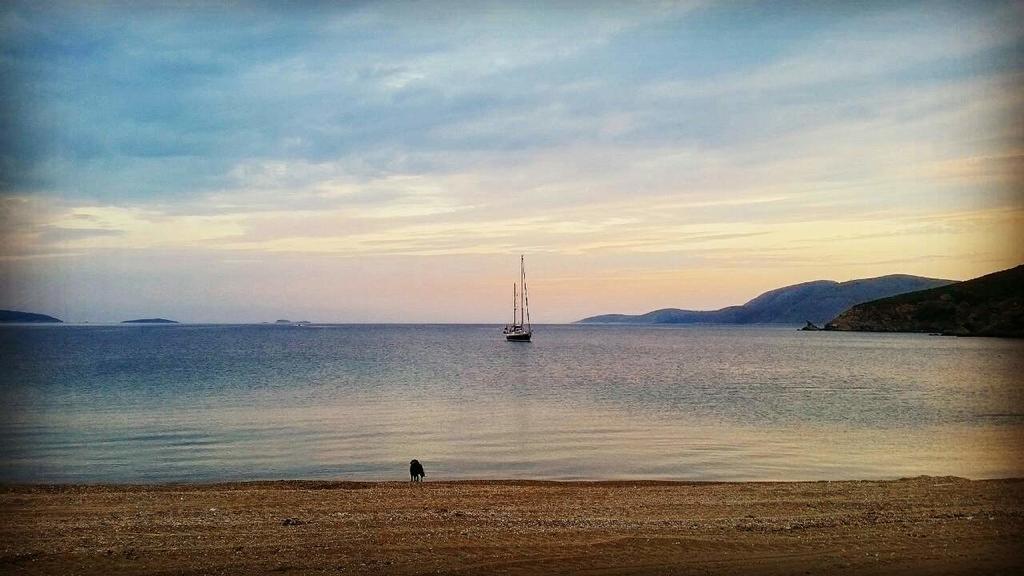 Theo'S Vacation Home Skyros Exterior photo